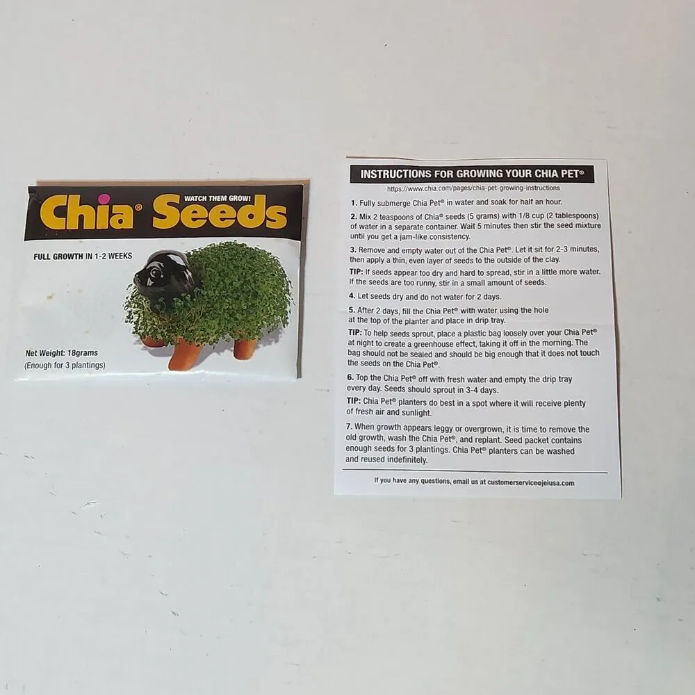 Wednesday Addams Chia Pet Grow Now for Halloween New in Box with Seeds